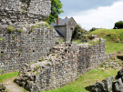 domfront-en-poiraie-19-castle-ruin