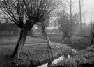 possibly dubbeldam