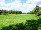 at the end of the lake - completely grass covered