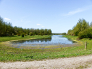 at the end of the lake - still high water level