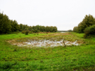 at the end of the lake - almost dry