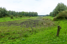 at the end of the lake - dry and more solid