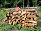 etang de pas bayard - more timber
