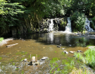 etang de pas bayard - waterfall