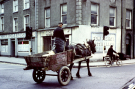 limerick donkey transport