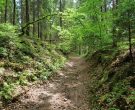 a sunken path