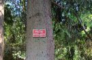 but you may not fish there