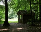 a shelter in the woods