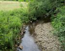 a little stream
