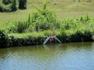 a wildlife escape ramp in the canal