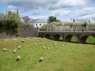north bridge with sheep (and flags)