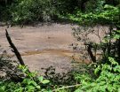 ry de rome - low water levels