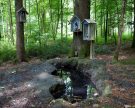 deux etangs - magic spot