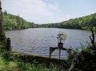 deux etangs - the end of the lake