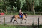 Training rider