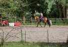 Training rider
