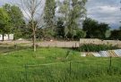 Sandy horse arena