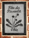 france 2022 thierache - gite de ohis - plaque for the festival of the dandelion