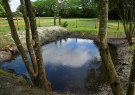 gite-le-taillis-pervencheres-16-rain-water-overflow