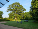 gite-le-taillis-pervencheres-17-evening-view-of-the-age-old-oak-tree