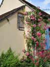 gite-le-taillis-pervencheres-6-door-to-the-former-bread-oven