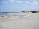 springtide on ameland - september 2022 - green dunes in danger