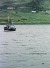 hebrides 1980 skye - fishing boat with inquisitive seal