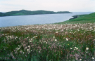 hebrides 1980 skye - flowery coast