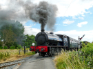 kent & east sussex railway - saddle tank coming up