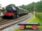 the train