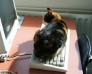 kimmie helping me with work