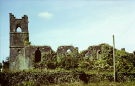 cong abbey grounds