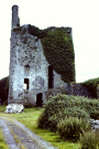 cong abbey grounds