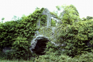 cong abbey grounds