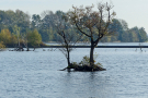 the marshes of botshol 2018 - botshol lake