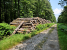 la-chapelle-montligeon-la-ligne-du-tram-walk-17 pile of logs