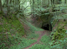 la ferrière aux etangs - le circuit du fer - old mine entrance in the woods
