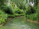 le-sentier-du-bac-montreuil-sur-mer-12 the canche before the water mill