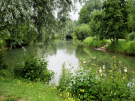 le-sentier-du-bac-montreuil-sur-mer-3 first view of the river canche