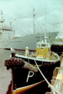 shetland 1989 - lerwick - fishing boat and ship westra