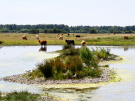 france 2022 - circuit of the Avocet - wetlands la bassee - highlanders 2