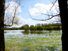 somewhere midway - high water level