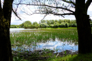 somewhere midway - low water level