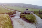 shetland 1989 - rita at a ford near hoswick