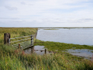 springtide on ameland - september 2022 - the salt marshes at springtide 