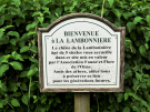 old-oak-tree-la-lambonnierre-1-official-plaque