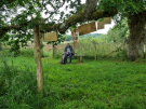 old-oak-tree-la-lambonnierre-11-lunch-is-ready