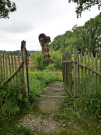 old-oak-tree-la-lambonnierre-5-access-gate