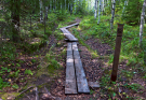 Finland 2019 Oravivuori - Glad it wasn't winter