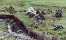 a peat field on hoy